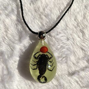 CUSTOM pendant, scorpion amber jewelry from nature